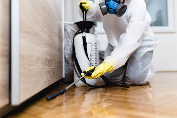 Best Best Pest Control Near Me  in Anderson Island, WA