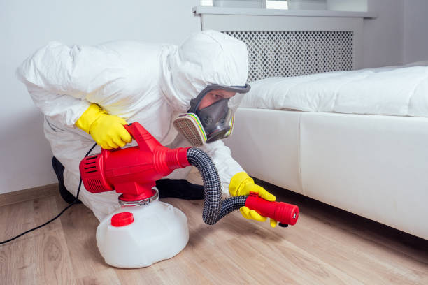 Best Wasp Removal Services  in Anderson Island, WA