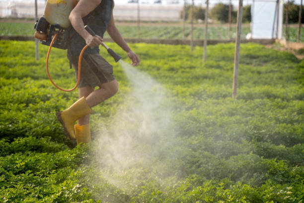 Best Affordable Pest Control Services  in Anderson Island, WA