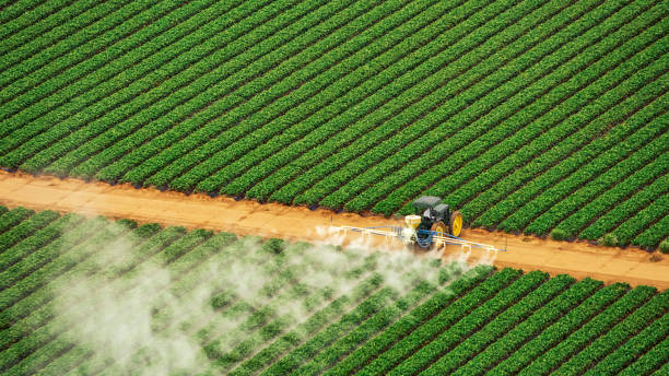 Best Commercial Pest Control Services  in Anderson Island, WA