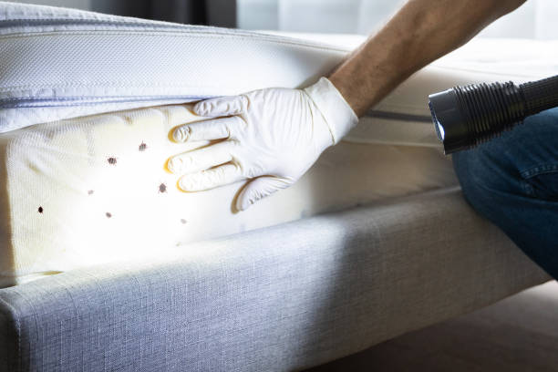 Best Best Pest Control Companies  in Anderson Island, WA
