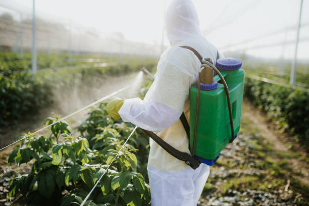 Best Pest Control Near Me  in Anderson Island, WA